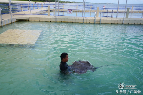 避暑策划海陆空畅游美国塞班岛
