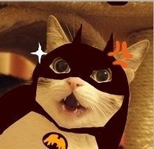 测评朵唯手机朵喵喵,朵唯l525手机好用吗