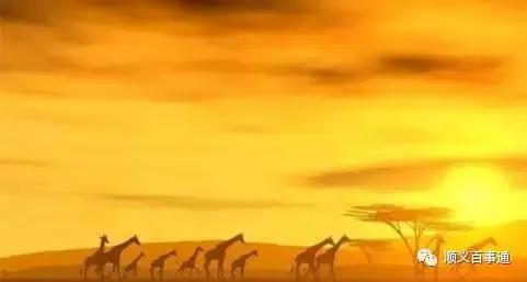 值得去免签落地签国家,对中国免签落地签旅游国家