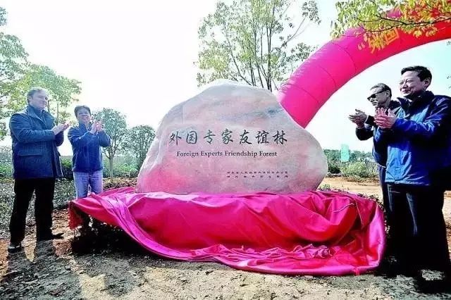 蔡甸为什么不发展老城区,蔡甸近10年有哪些变化