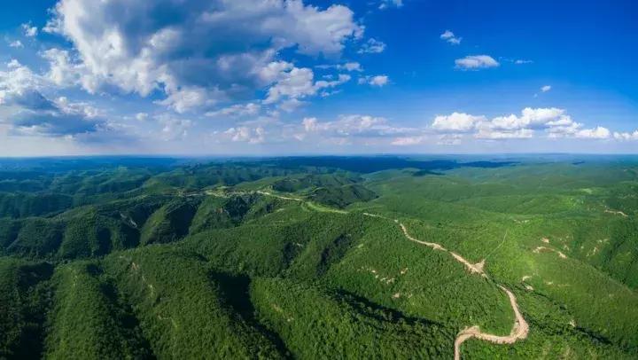 宁县子午岭简介,宁县子午岭图片