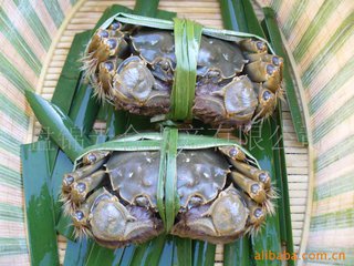 海蟹和河蟹怎么区别,海蟹河蟹区分