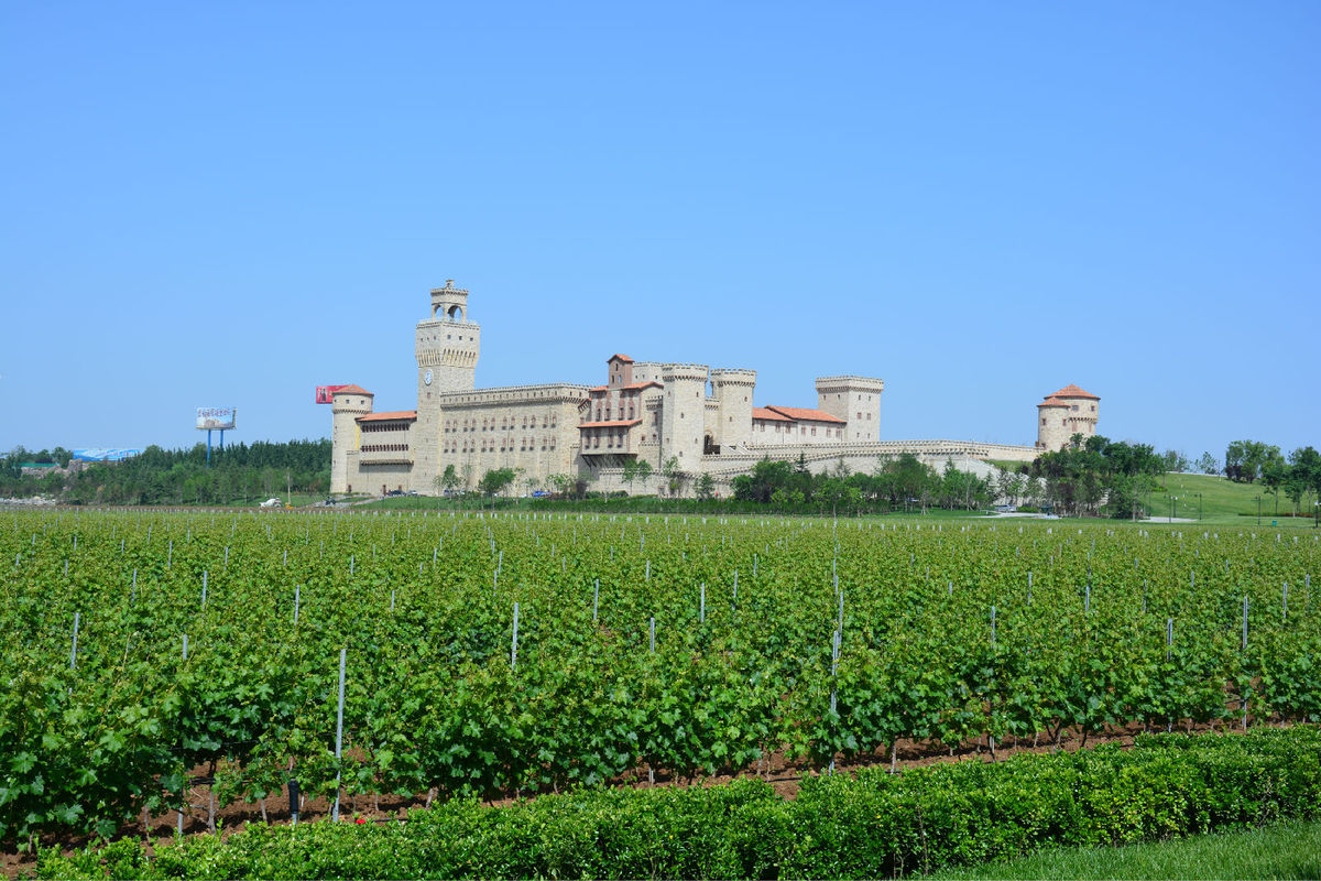 法国1855列级酒庄高清图,法国1855列级酒庄名单