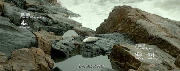 国庆应该去哪里,国庆该去哪儿