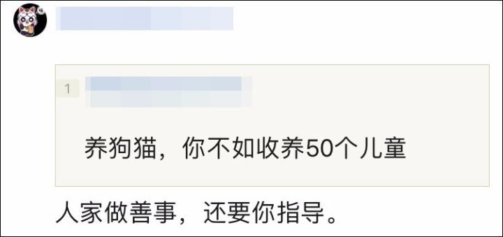 张信哲救猫,张信哲救人歌曲