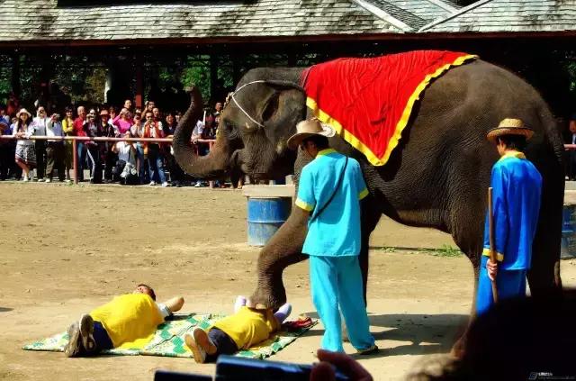 第一次去泰国需要提前了解的常识！