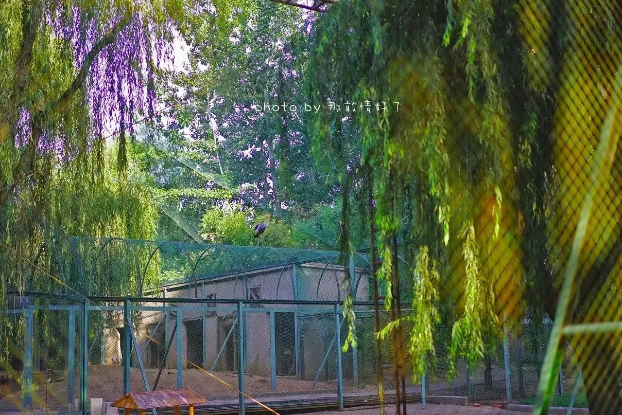 北京汤泉度假酒店排名,京城度假酒店