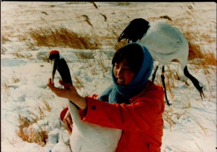 一个真实的故事原创,一个真实的故事有几个版本