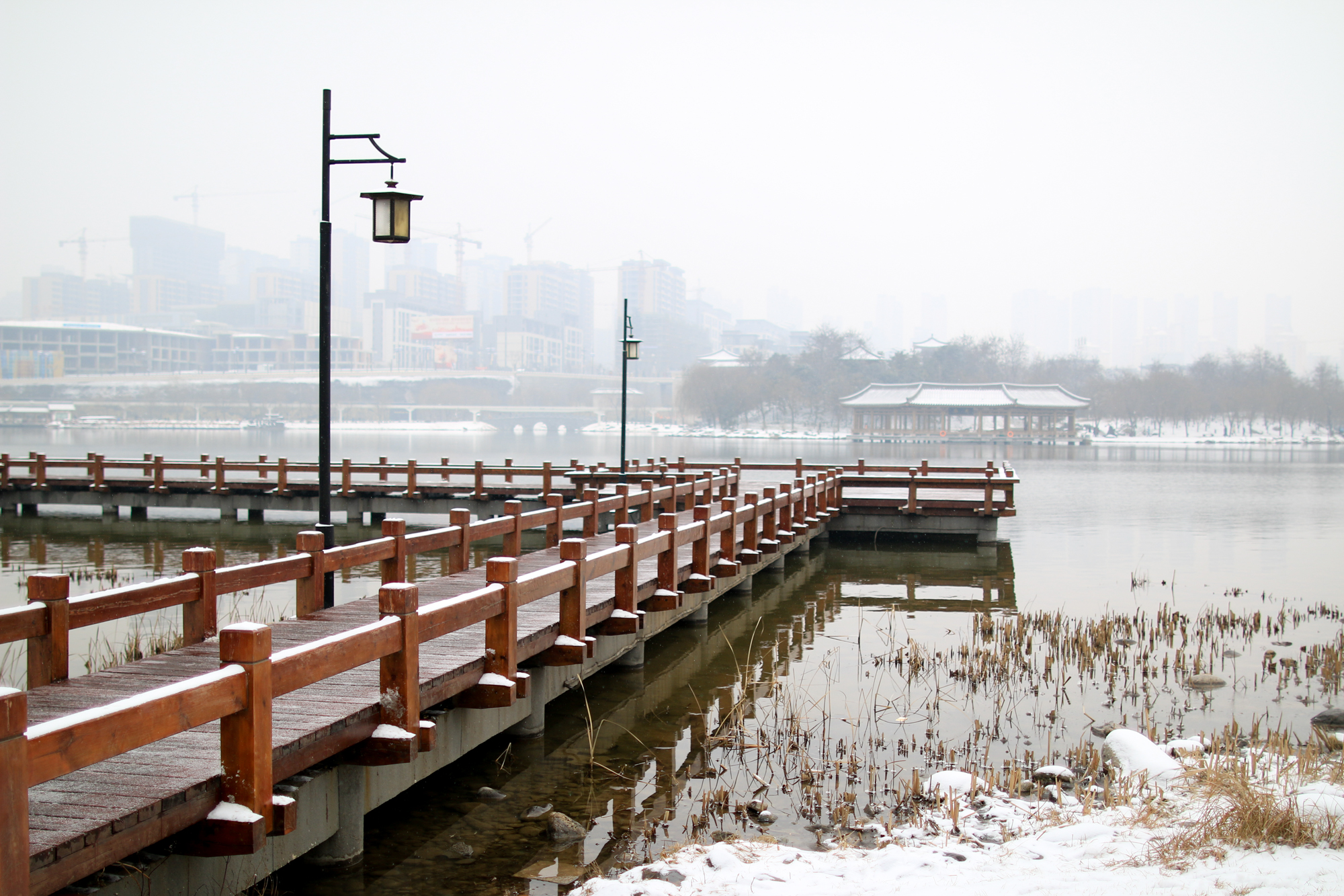西安曲江池遗址公园值得去吗,西安曲江池遗址公园曲江池