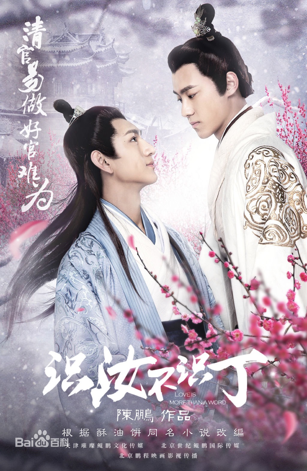 这些年，我们被安利的腐剧们