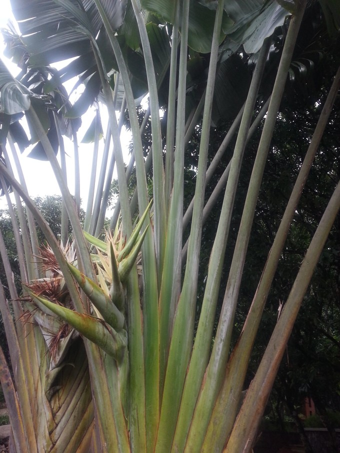 面朝大海春暖花开旅游,面朝大海春暖花开4