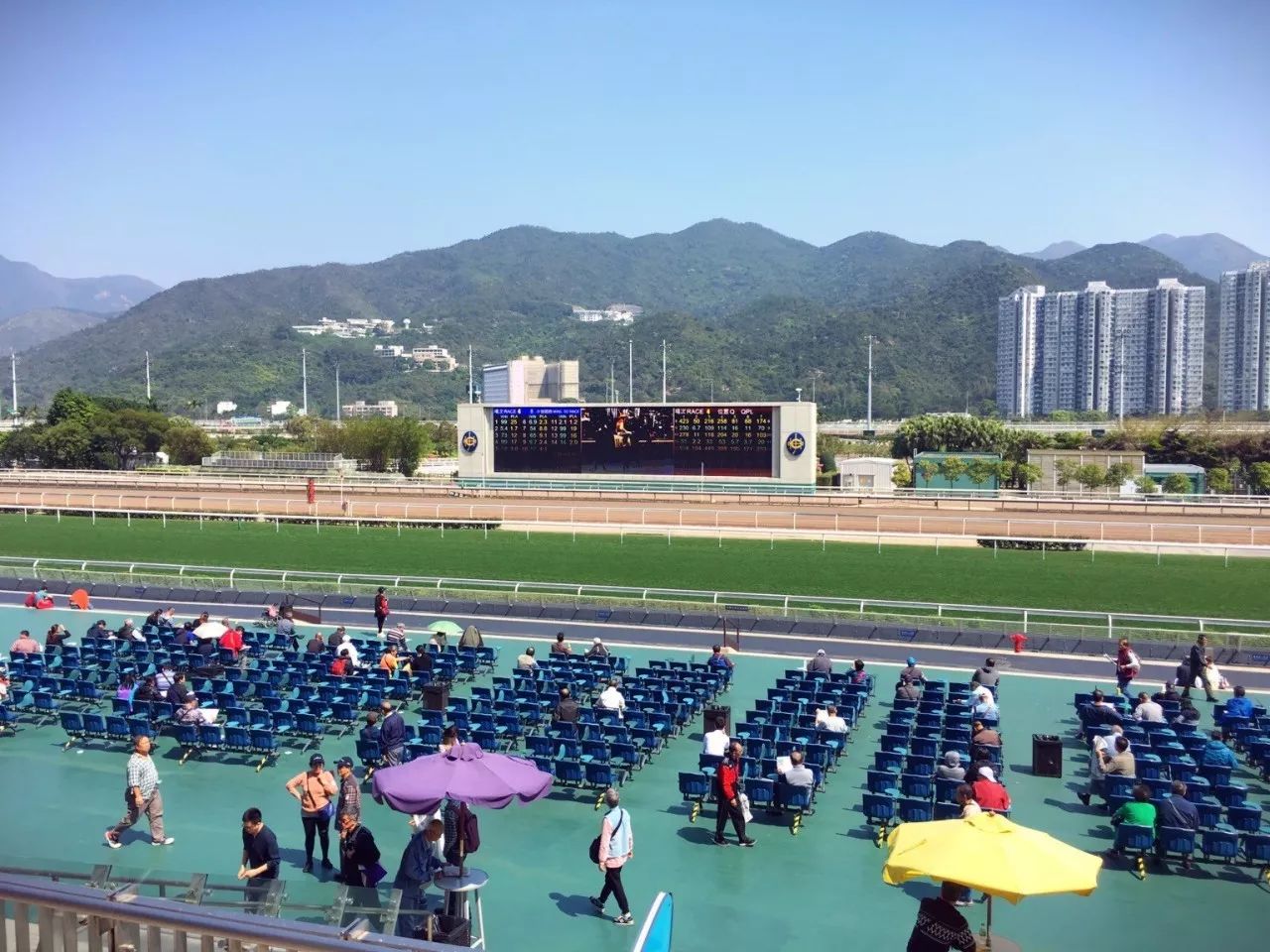 最后一秒的锦囊：去香港住哪里吃什么玩什么？