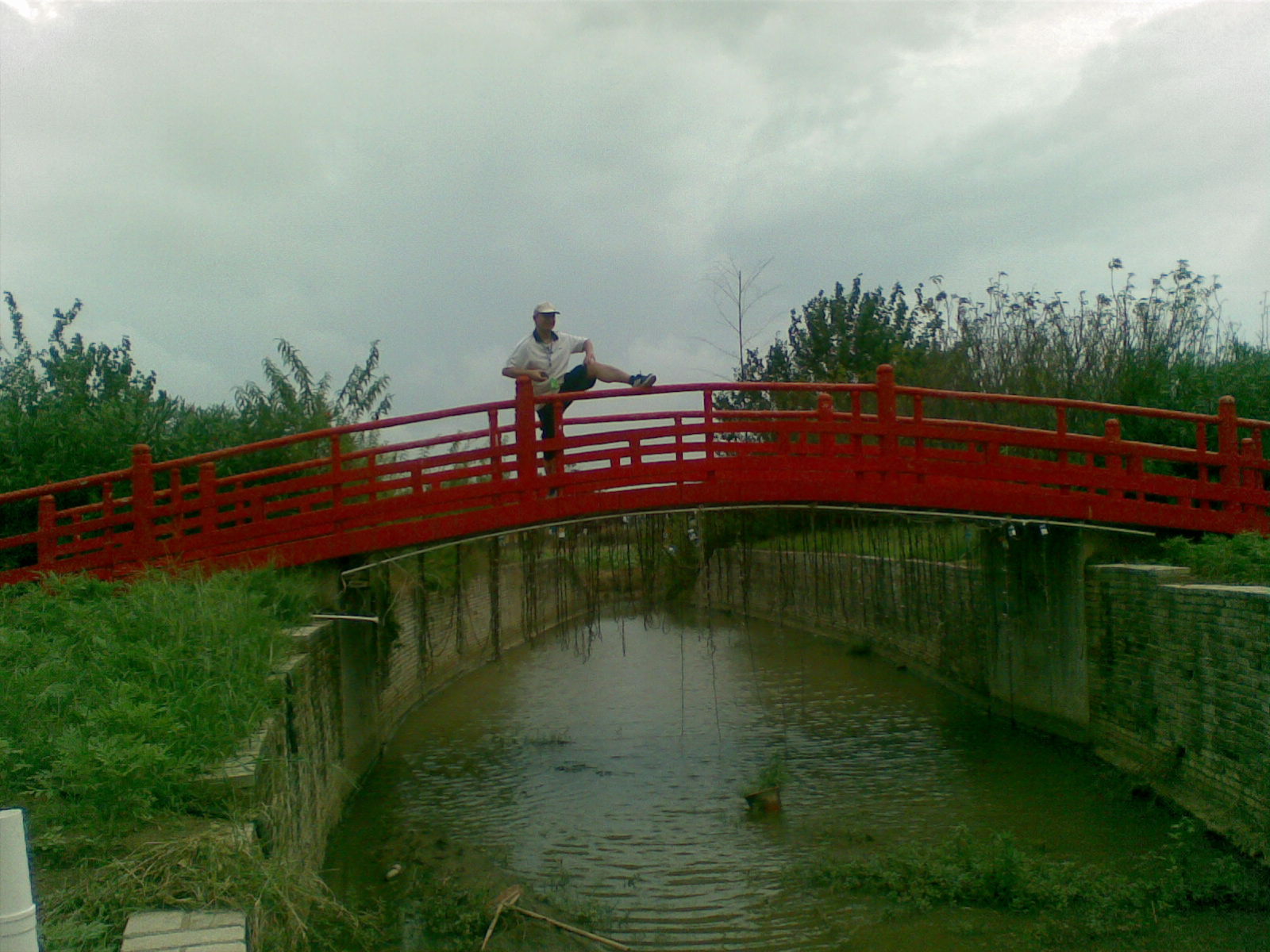 广州南沙百万葵园好不好玩,广州南沙百万葵园门票多少钱