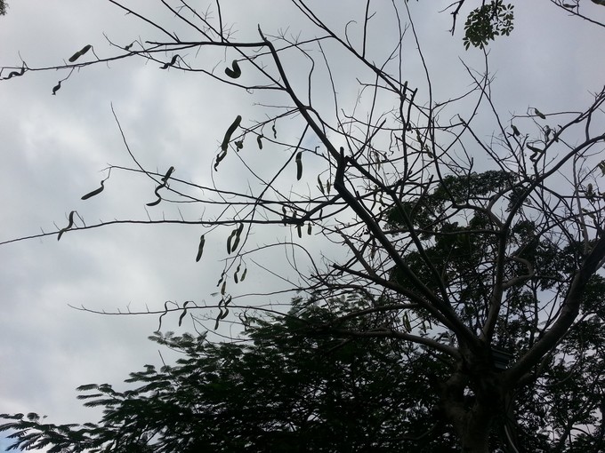 面朝大海春暖花开旅游,面朝大海春暖花开4