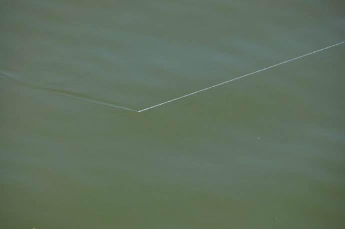 怎样挑选优质的鱼线,怎样选用好鱼线