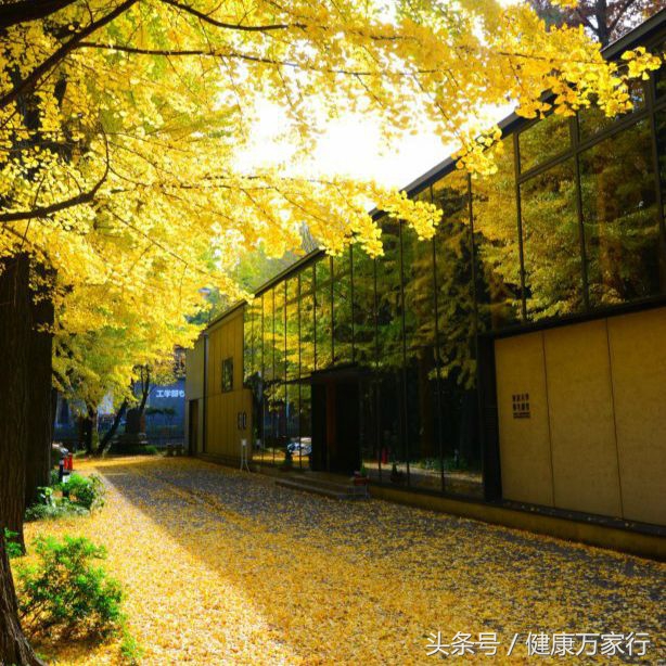 基因检测与靶向治疗,靶向治疗是什么意思