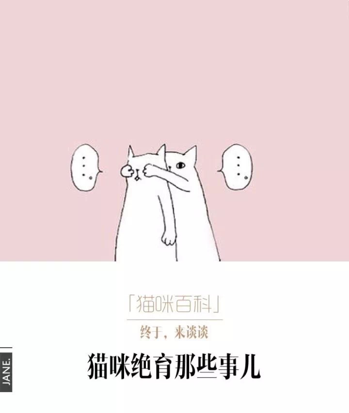 猫咪绝育后还是乱尿,关于猫咪绝育这里有最详细的攻略