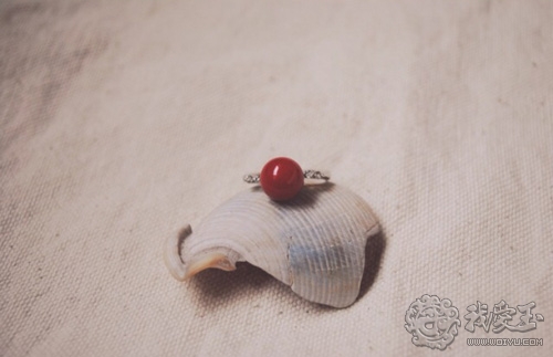 最好的红珊瑚是哪个,世界上最好的红珊瑚图片