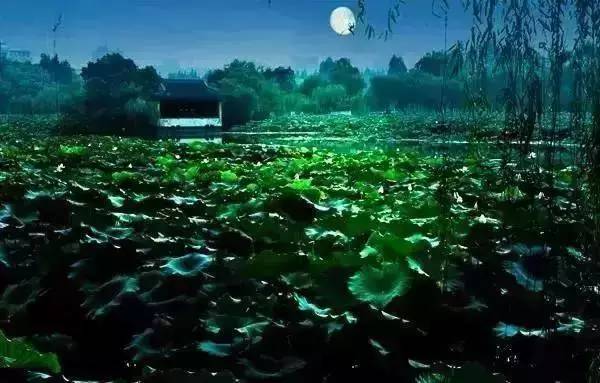 绿地面积和绿化覆盖面积,绿地面积和绿化覆盖面积哪个更大