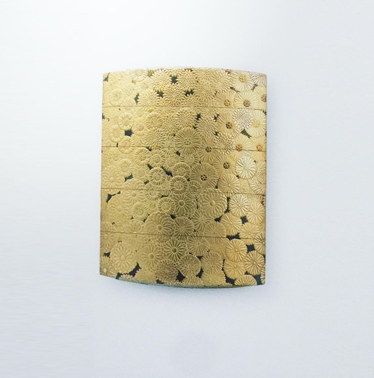 长知识升逼格｜来看看大蜥蜴国有多了不起