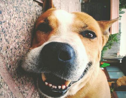 如何成功约女生出来,如何合理地约女生出来