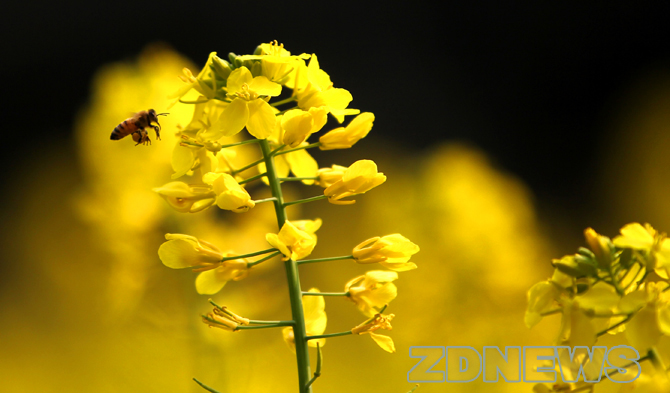 选择农学有N个理由让你信服