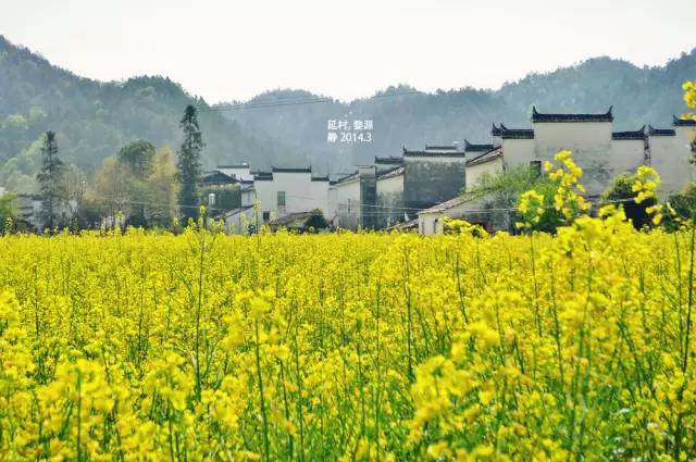 清明小长假出游提醒 (清明小长假微信消息)