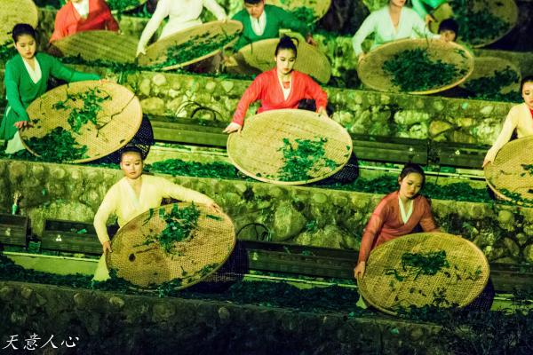 漫游武夷山之自驾游,漫游武夷记