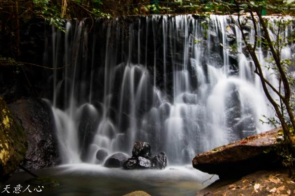 漫游武夷山之自驾游,漫游武夷记