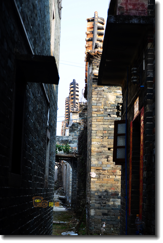 十二道锋味谢霆锋潮汕牛肉,十二道锋味隆苑咖啡谢霆锋