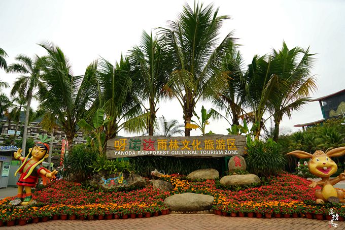 呀诺达，拾起我童年记忆的热带雨林