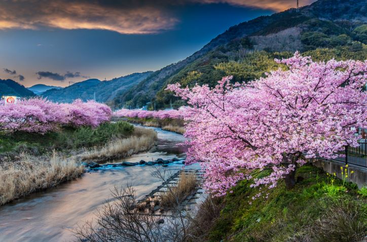 因为爱你所以等你,因为爱你我愿赌服输