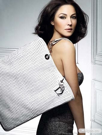 奢侈品牌包包的鉴定标准,品牌箱包真假案