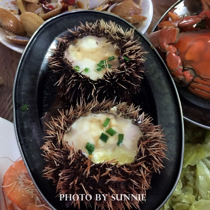 北纬十八度之三亚,北纬18度的旅行三亚游记