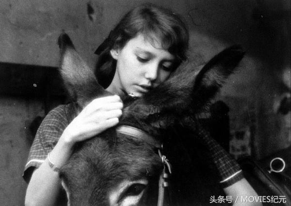 经典电影推荐豆瓣9.0分以上,豆瓣评分最高的电影排行榜前十名