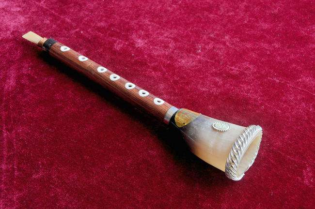 牛角用途大全,牛角有哪些收藏价值