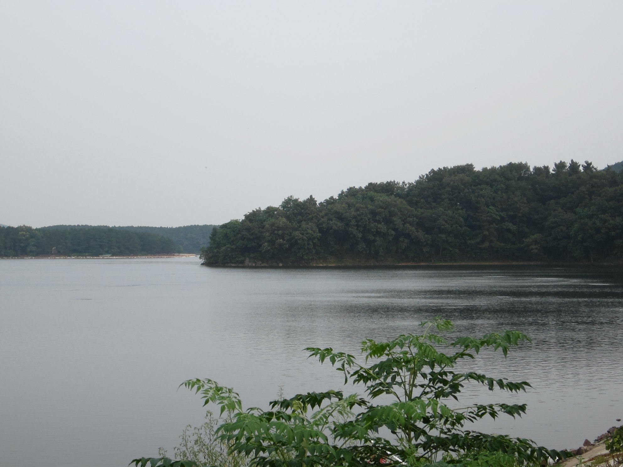 我的家长粤语,我的家长完整版