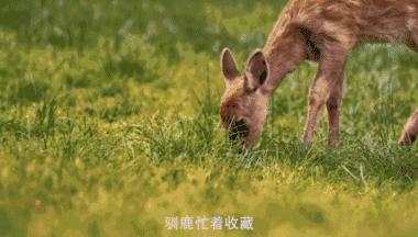 最好的我们免费看,最好的我们看剧