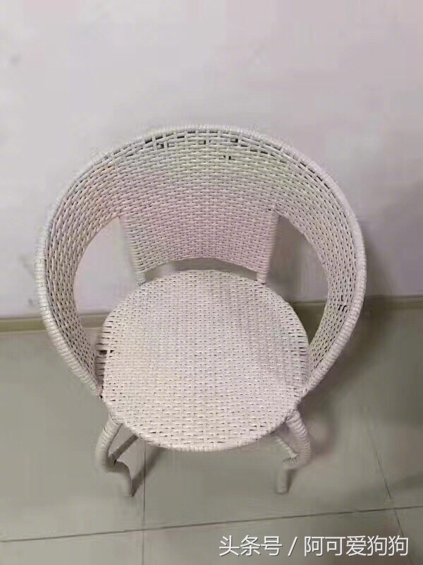 有一只会关心主人的喵星人可真好！