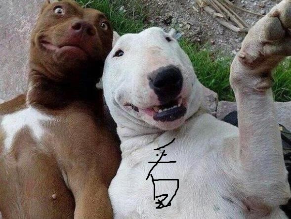 同学说我是全班最丑的,总是觉得自己班里最丑