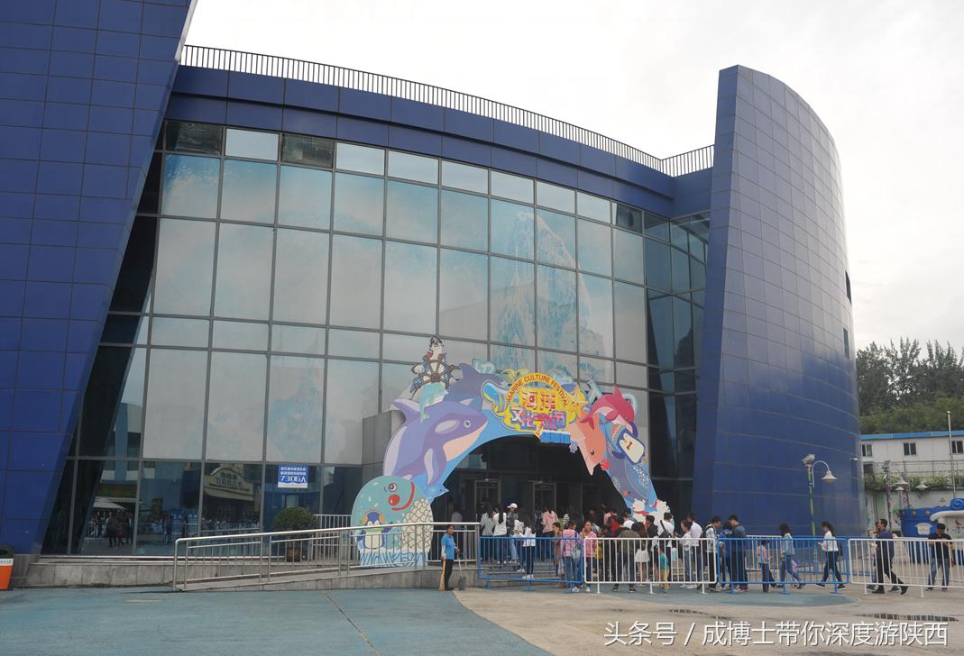 西安有银杏树旅游景区,西安旅游排名前十的景区有哪些