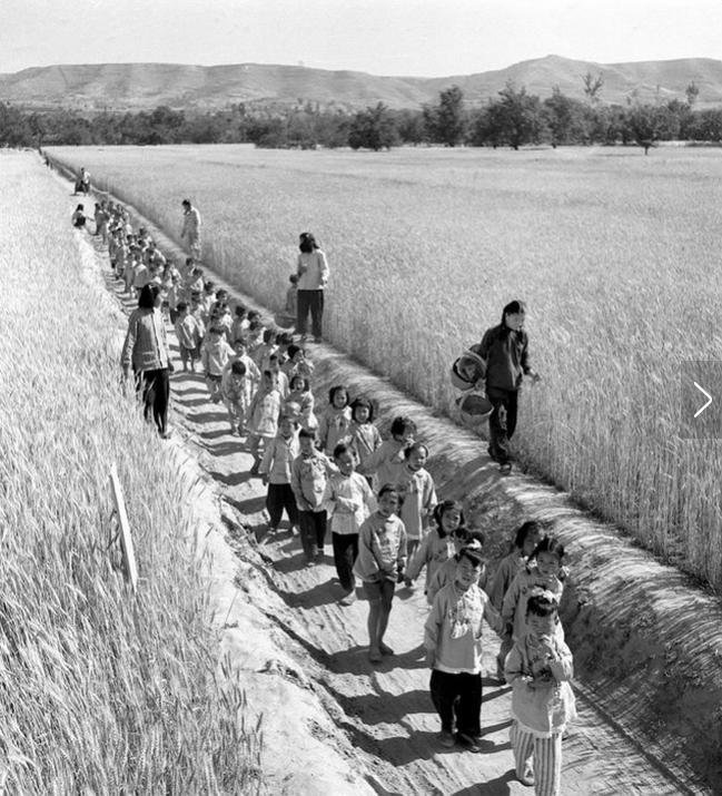 行为背后的心理分析,心理学回忆过去