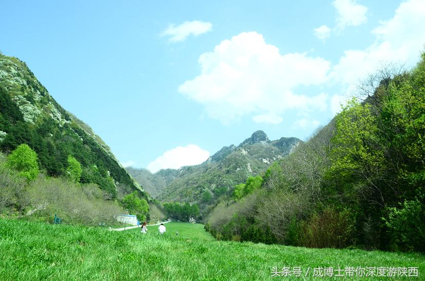 西安今年开放的免费旅游景区,西安茯茶小镇旅游景区攻略