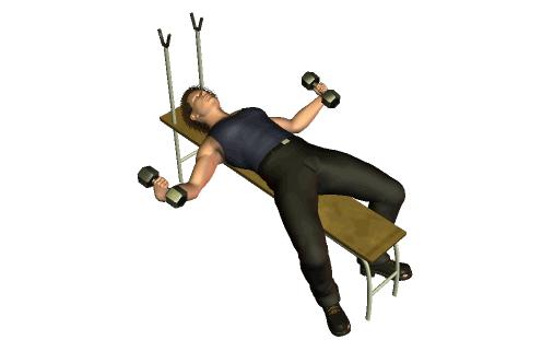 怎样填补胸肌中缝,胸肌中缝缺肉怎么办