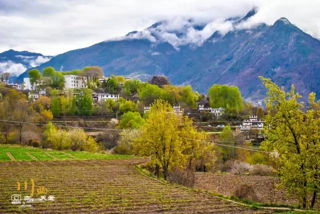 清明小长假出游提醒 (清明小长假微信消息)