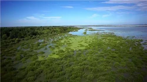 美在自然之中,美丽的嫩江湾美景图