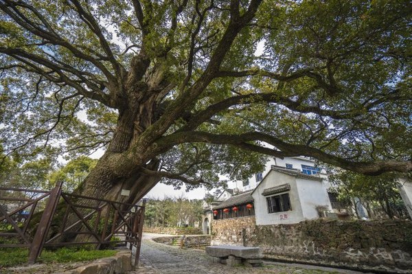 太湖舒畅之旅：乐享田园生活