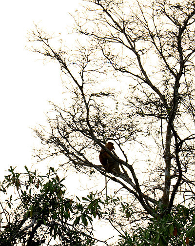 人生必需要有一次闺蜜游——沙巴五日游