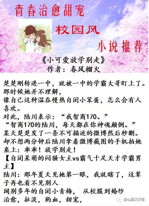 十部青春校园言情小说,青春治愈系校园风小说