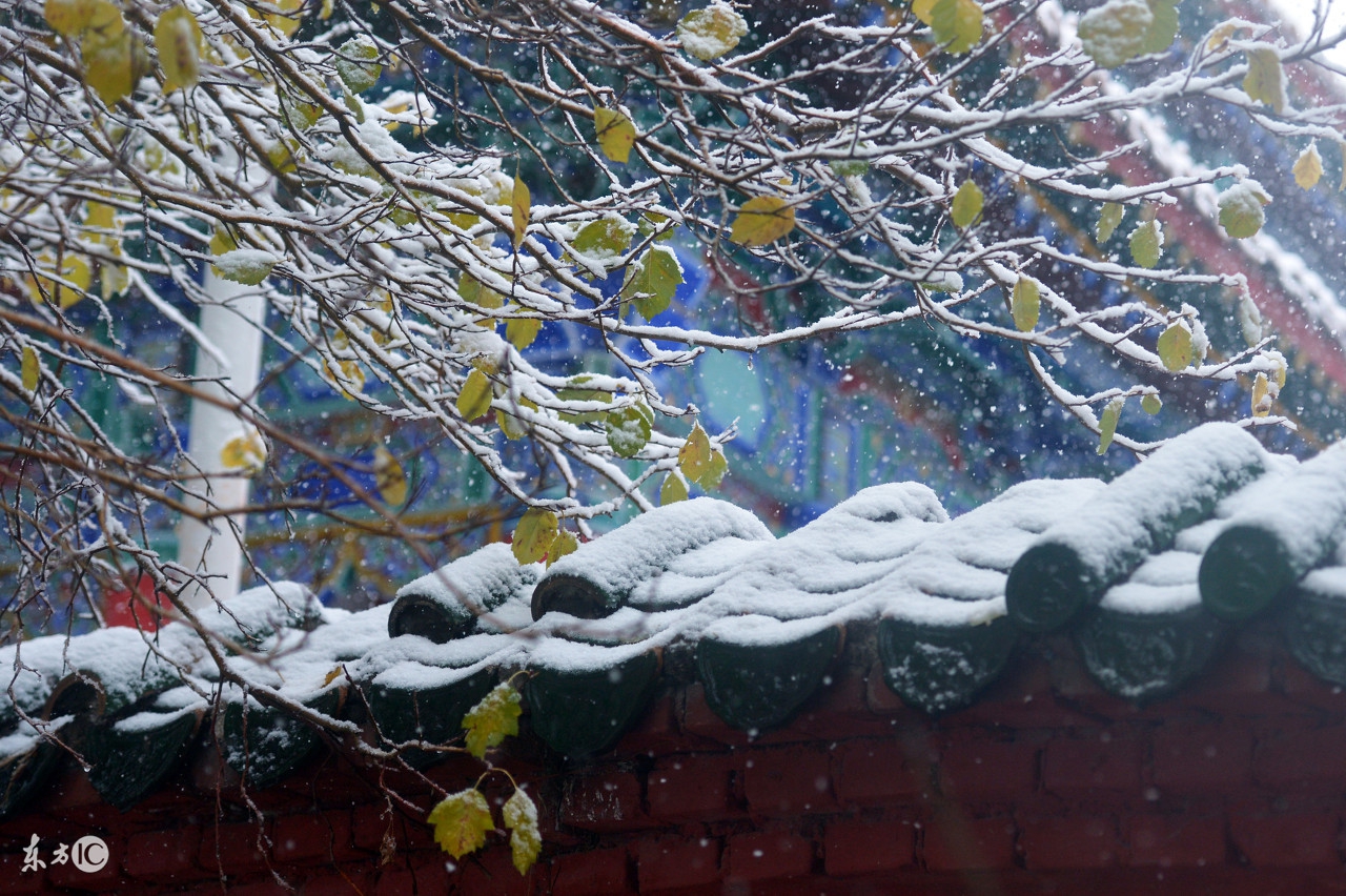 *疆新**人脾气性格和这天气一样！不迁就不掩饰！要么冬，要么夏！